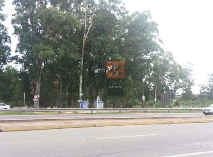 imagen  de la propiedad 18532