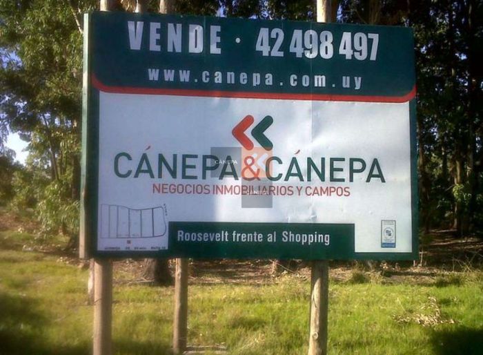 imagen  de la propiedad 18532