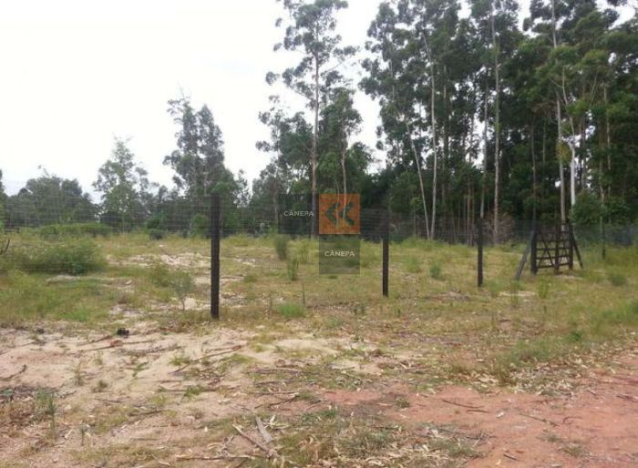 imagen  de la propiedad 18550