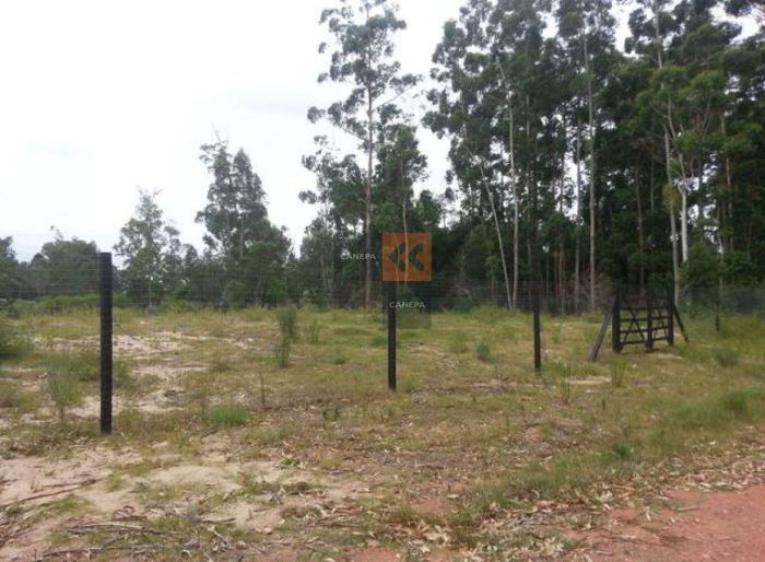 imagen  de la propiedad 18550