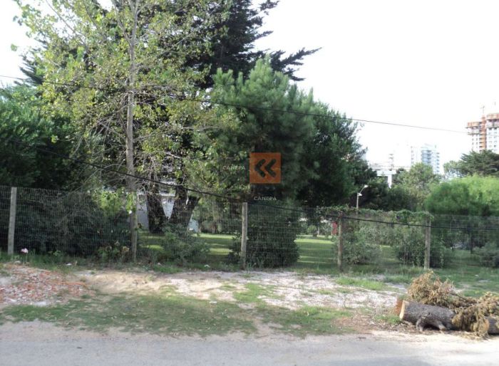 imagen  de la propiedad 18558