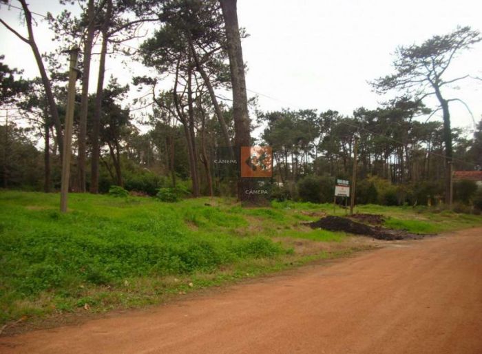 imagen  de la propiedad 18559