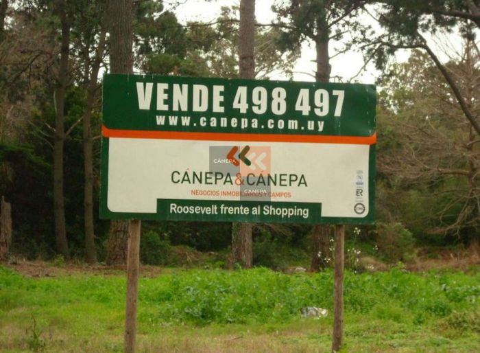 imagen  de la propiedad 18559