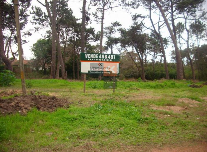 imagen  de la propiedad 18559