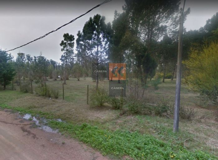 imagen  de la propiedad 18626