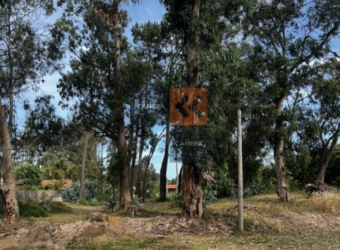 imagen  de la propiedad 22581