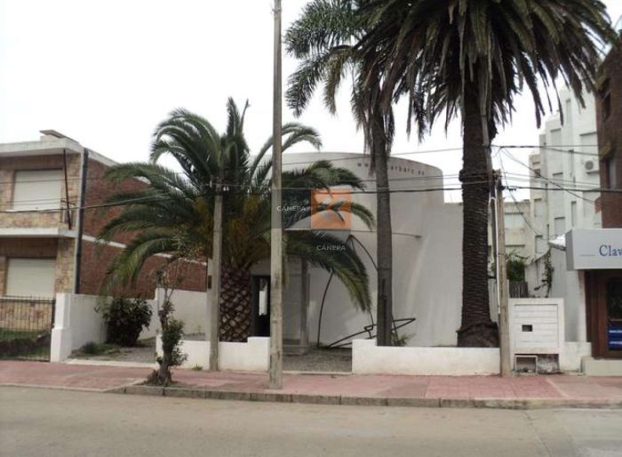 imagen  de la propiedad 39343