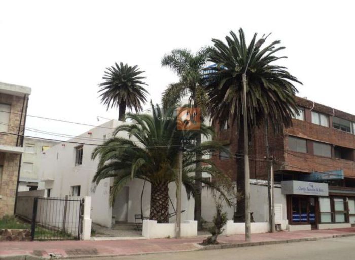 imagen  de la propiedad 39343