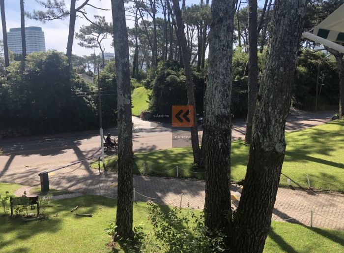 imagen  de la propiedad 39449