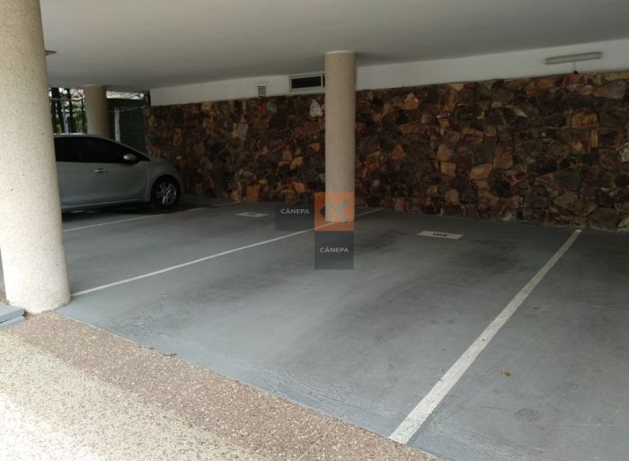 imagen  de la propiedad 39713