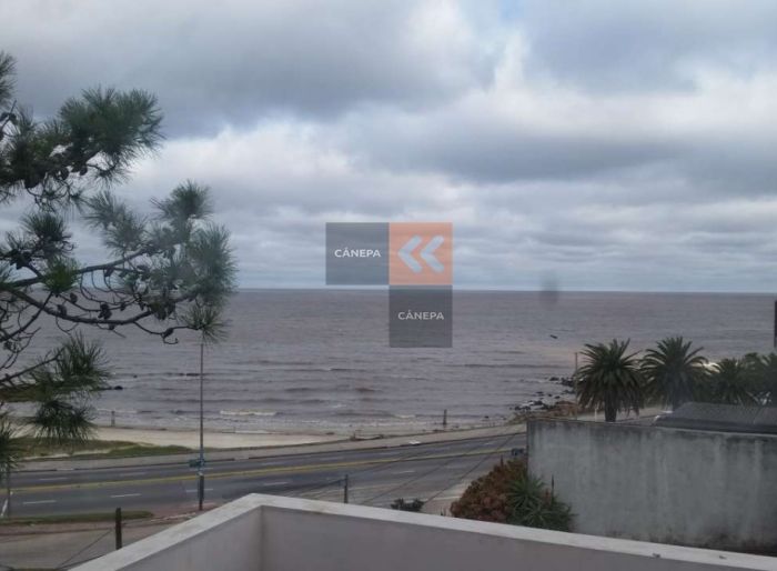 imagen  de la propiedad 63219