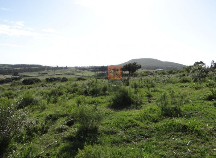 imagen  de la propiedad 63430