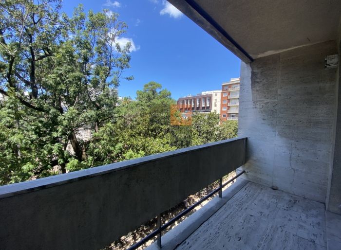 imagen  de la propiedad 64752