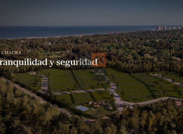 imagen  de la propiedad 82755