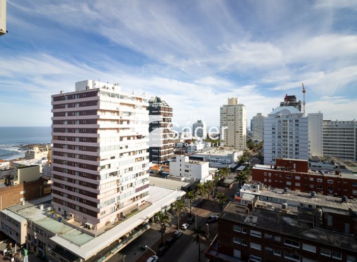 imagen  de la propiedad 133558