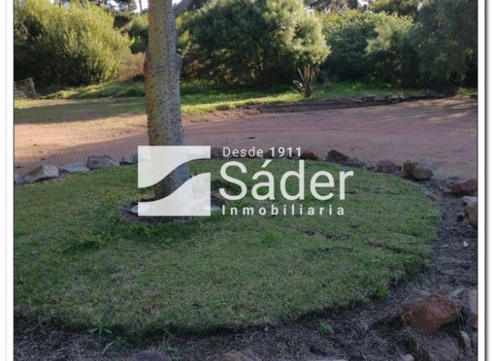 imagen  de la propiedad 133648