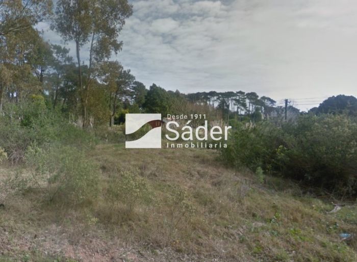 imagen  de la propiedad 133685