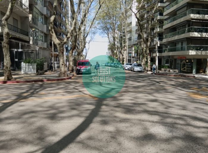imagen  de la propiedad 125544