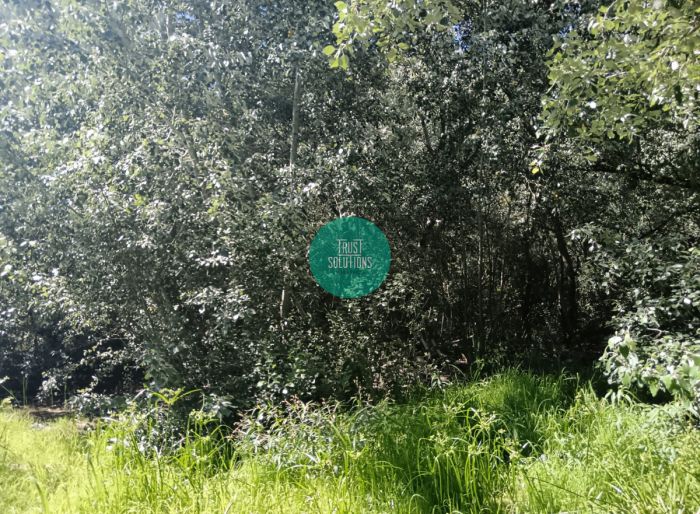 imagen  de la propiedad 144671
