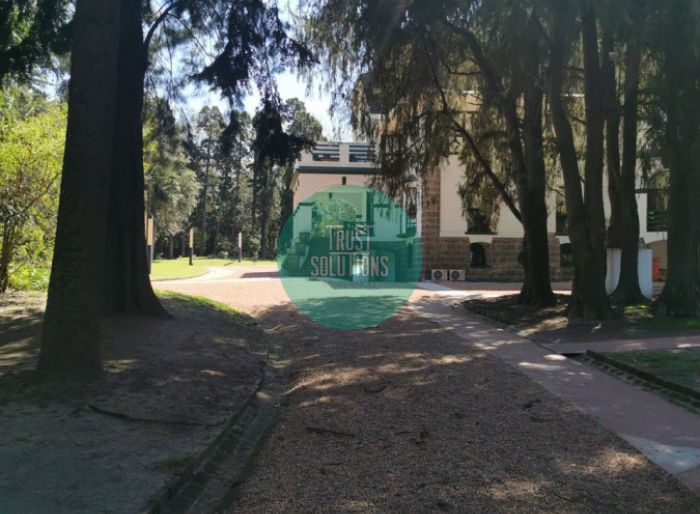 imagen  de la propiedad 176325