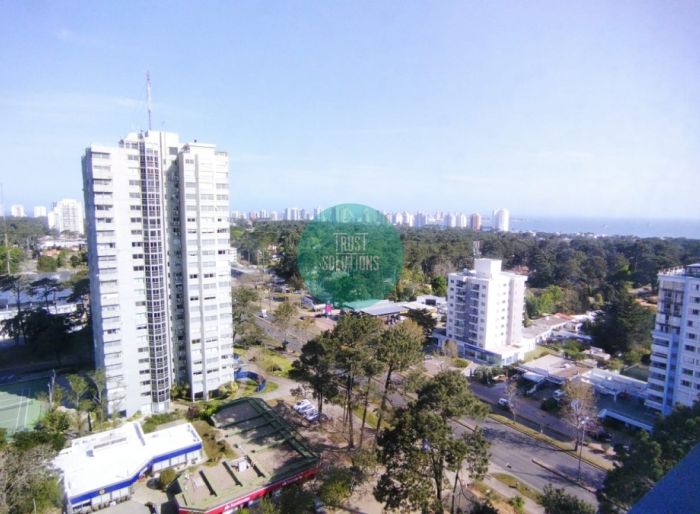 imagen  de la propiedad 43520