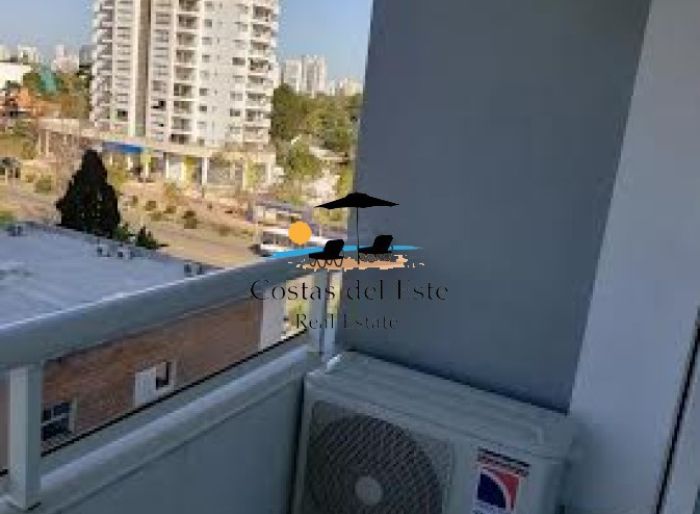 imagen  de la propiedad 167063