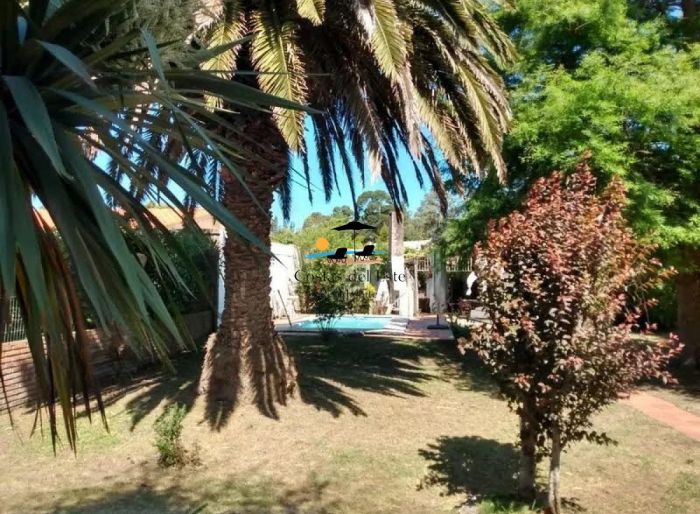 imagen  de la propiedad 167124
