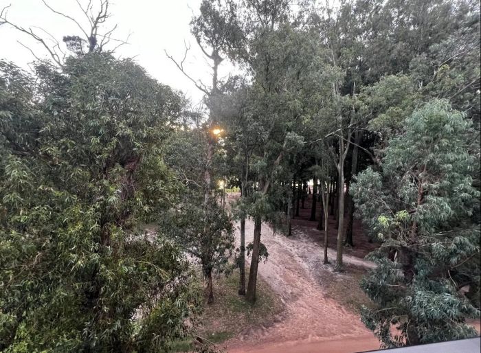 imagen  de la propiedad 183947