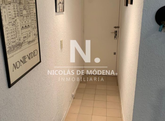 imagen  de la propiedad 113514