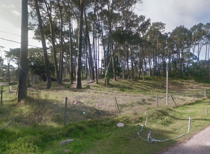 imagen  de la propiedad 134539