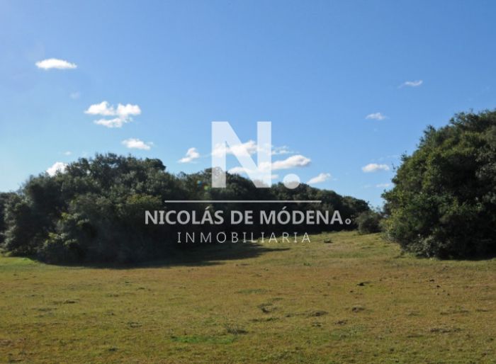 imagen  de la propiedad 135912