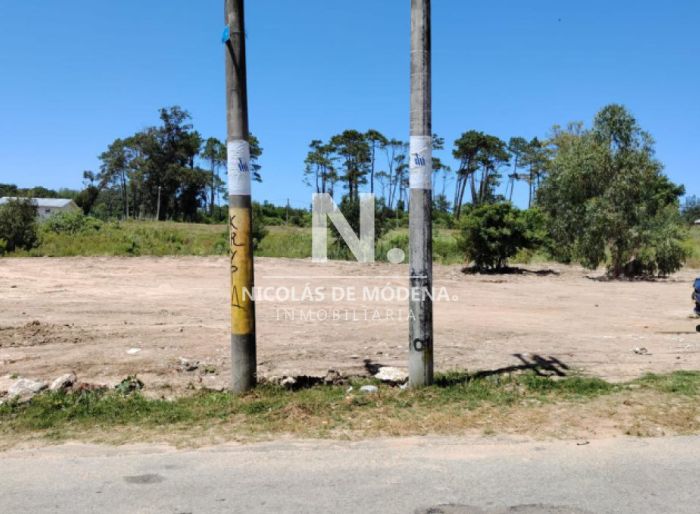 imagen  de la propiedad 140256