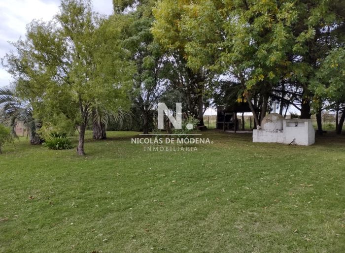 imagen  de la propiedad 156650