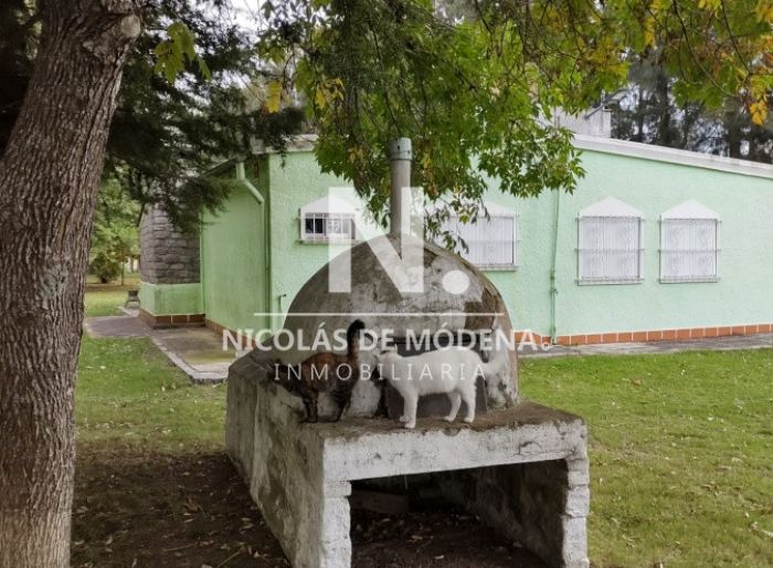 imagen  de la propiedad 156650
