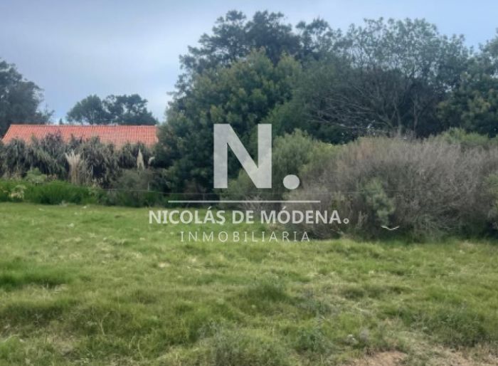 imagen  de la propiedad 168774