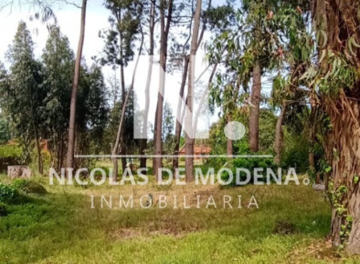 imagen  de la propiedad 169126