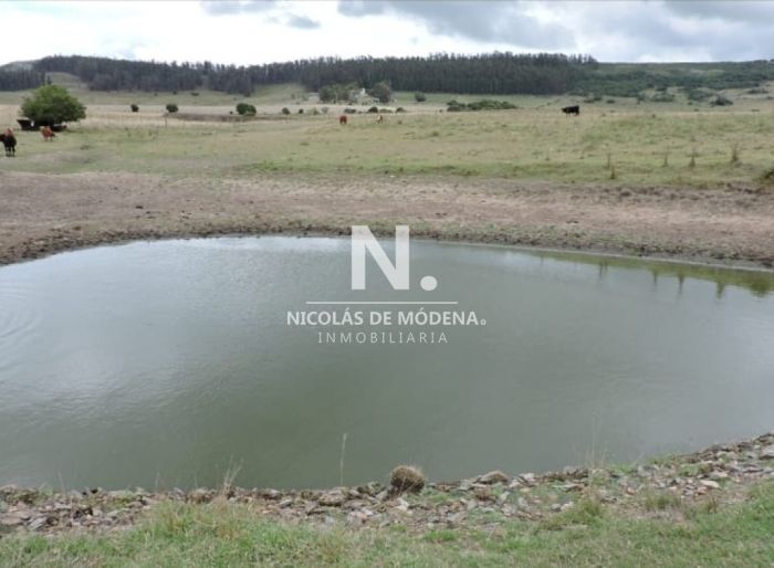 imagen  de la propiedad 183247