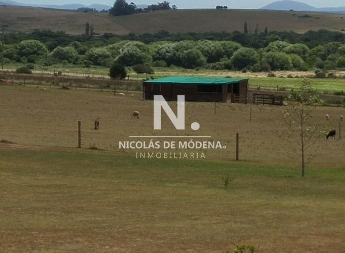 imagen  de la propiedad 22923