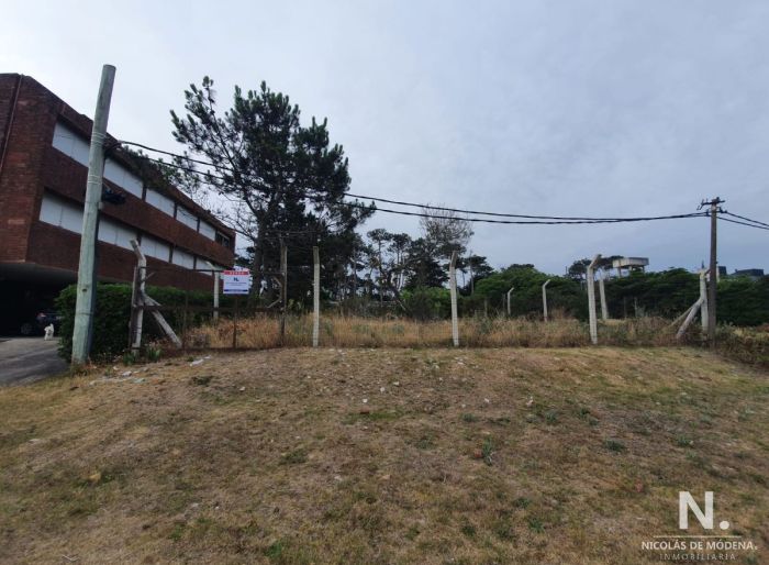 imagen  de la propiedad 23001