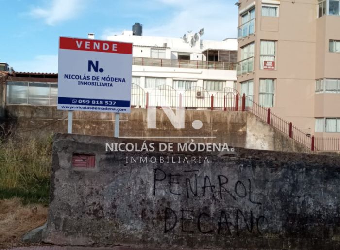 imagen  de la propiedad 23010
