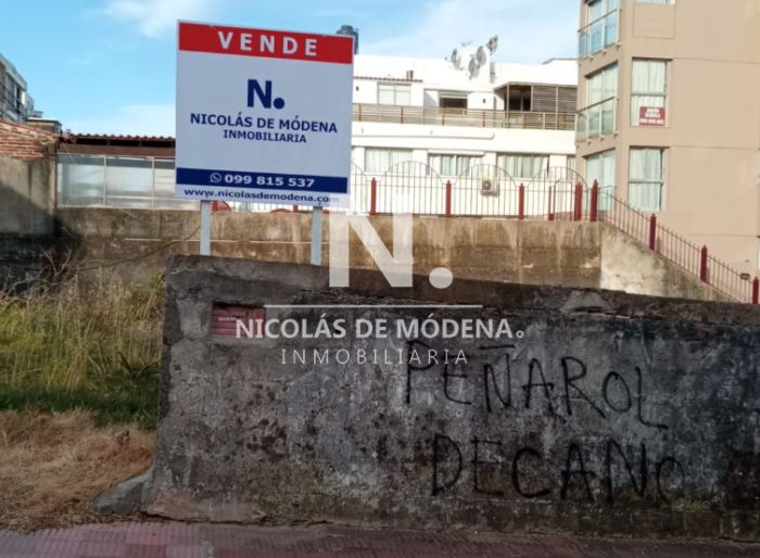 imagen  de la propiedad 23010