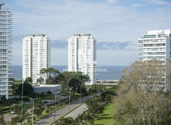 imagen  de la propiedad 23151