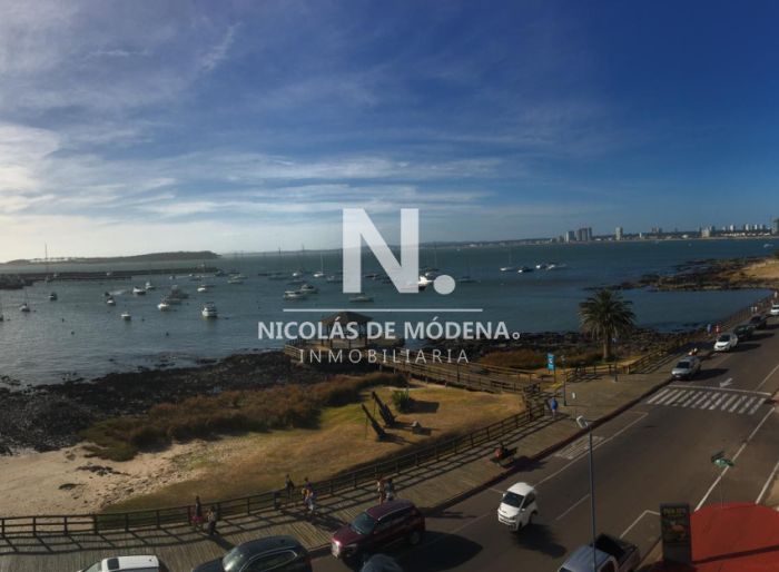 imagen  de la propiedad 23166