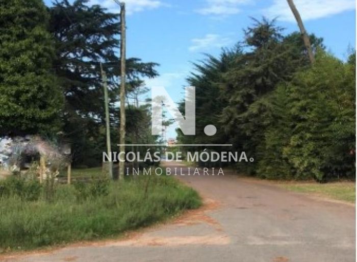 imagen  de la propiedad 23374