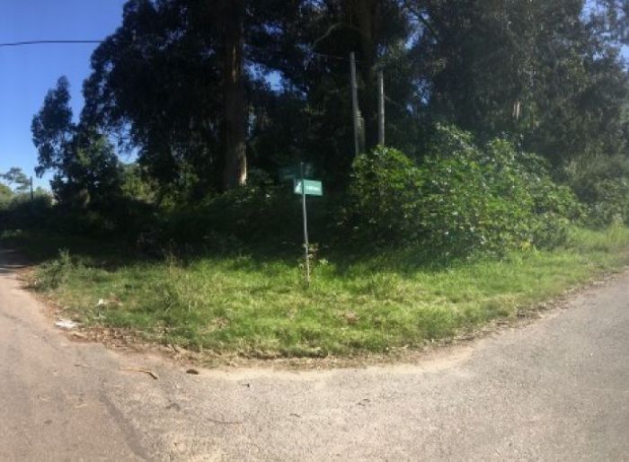 imagen  de la propiedad 23797