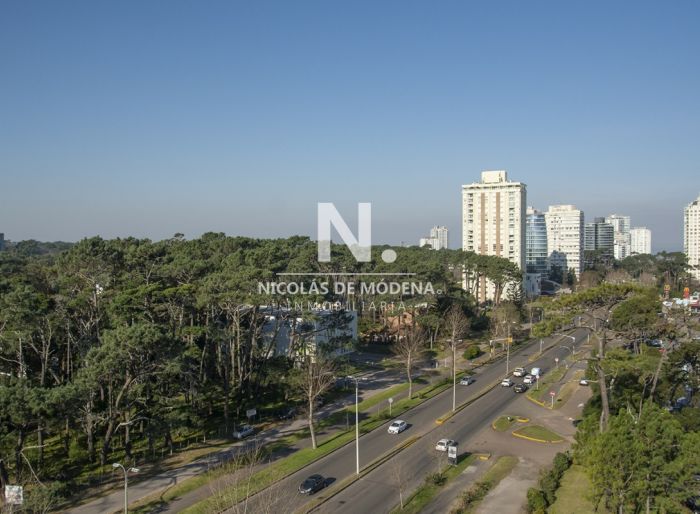 imagen  de la propiedad 24110