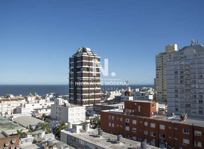 imagen  de la propiedad 24303
