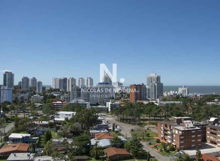 imagen  de la propiedad 24305