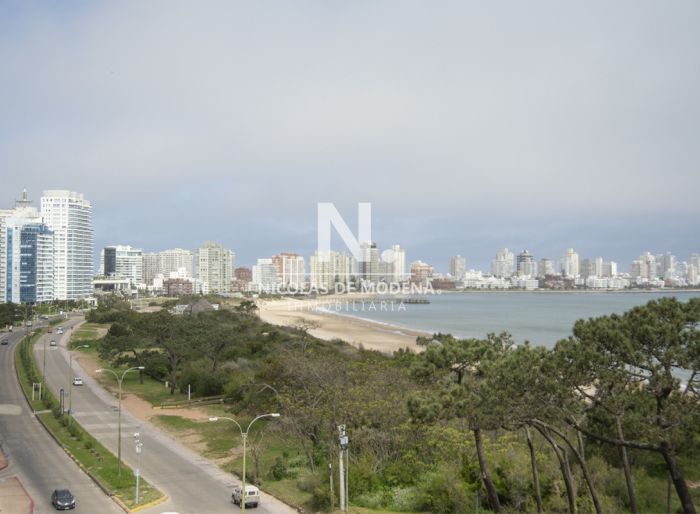 imagen  de la propiedad 24309