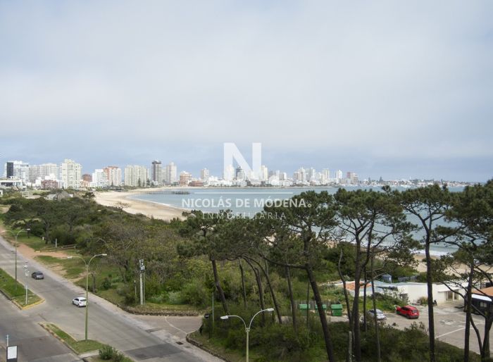 imagen  de la propiedad 24309